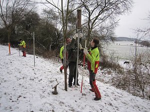 Es ist geschafft im Ilfelder Ahornpark
