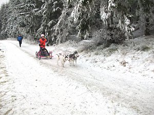 Beim Schlittenhunderennen dabei 