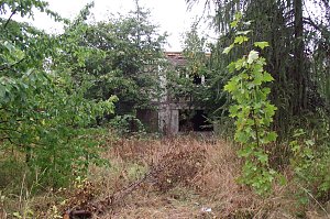 Von einer Brache zur Investition