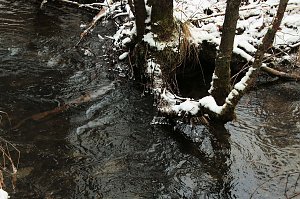 Unterwegs im Harz