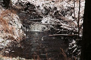Unterwegs im Harz