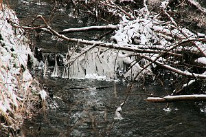 Unterwegs im Harz