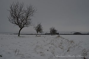 Winter in Greu&szlig;en