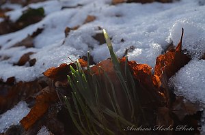 Winter in Greu&szlig;en