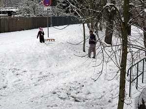 Winter im Park