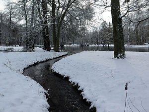 Winter im Park