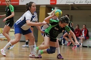 Handball-Wochenende