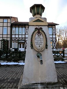 Mit dem Teleobjektiv im Stadtpark