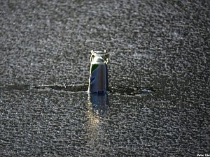 Mit dem Teleobjektiv im Stadtpark