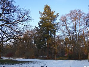 Mit dem Teleobjektiv im Stadtpark
