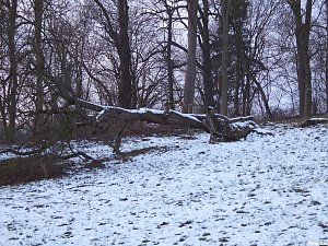 Park Hohenrode