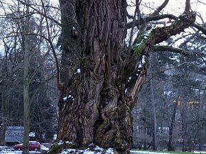 Park Hohenrode