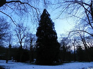 Park Hohenrode