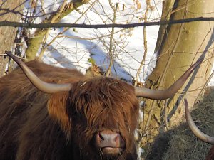 Im Harz unterwegs
