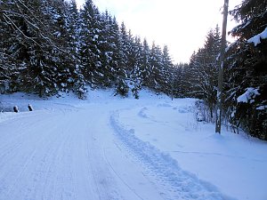 Im Harz unterwegs