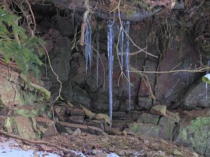 Im Harz unterwegs