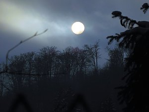 Im Harz unterwegs