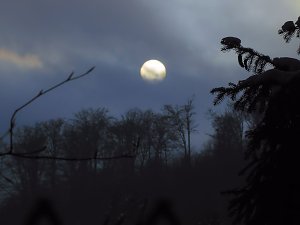 Im Harz unterwegs