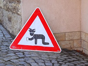 50 Jahre Karneval in Gro&szlig;lohra