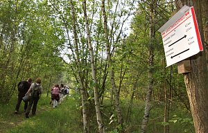 Wandern im Karst