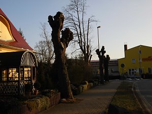 Kreative B&auml;ume