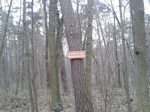 100 Kilometer unterwegs