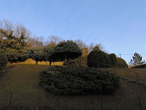 Unterhalb der Burg