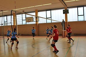 Neues vom Volleyball