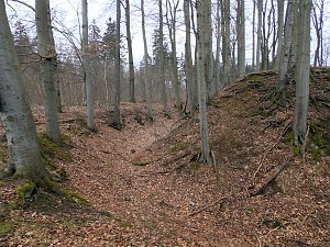 Rund um Friedrichsbrunn