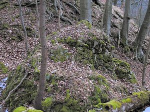 Rund um Friedrichsbrunn