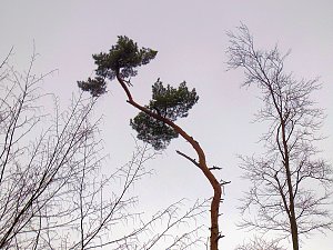 Rund um Friedrichsbrunn