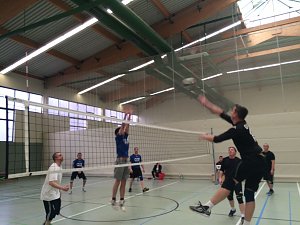 Ergebnisse vom Volleyball