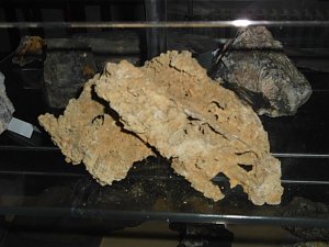 Besuch im Ilfelder Heimatmuseum