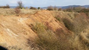 NABU-Kyffh&auml;userkreis- Aktuell: