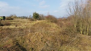 NABU-Kyffh&auml;userkreis- Aktuell: