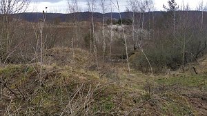 NABU-Kyffh&auml;userkreis- Aktuell: