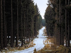Die Teufelsm&uuml;hlen - der Name wurde den Harzer Mythen entlehnt