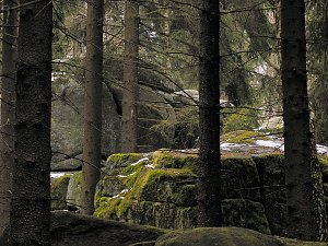 Die Teufelsm&uuml;hlen - der Name wurde den Harzer Mythen entlehnt