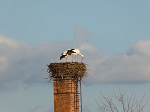 Exakt nach einem Jahr wieder gelandet