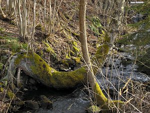 Unterwegs in Straßberg