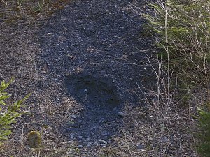 Grube Glasebach