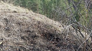 Fr&uuml;hlingsspaziergang der "besonderen Art"