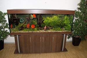 Offene T&uuml;ren im St. Jakob Haus