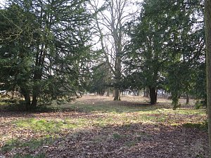Das Areal des Lindenhofes