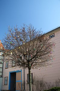 Ostereierbaum in Ellrich