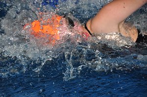 Stadtmeisterschaft im Schwimmen