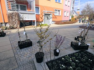Ostermarkt in Sondershausen