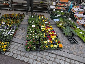 Ostermarkt in Sondershausen