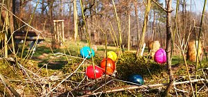 Ostereier suchen im Ilfelder Ahornpark