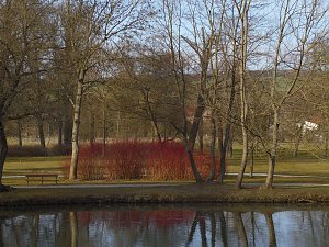 "Farbtupfer" aus Sondershausen